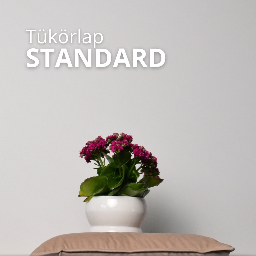 Standard ezüst