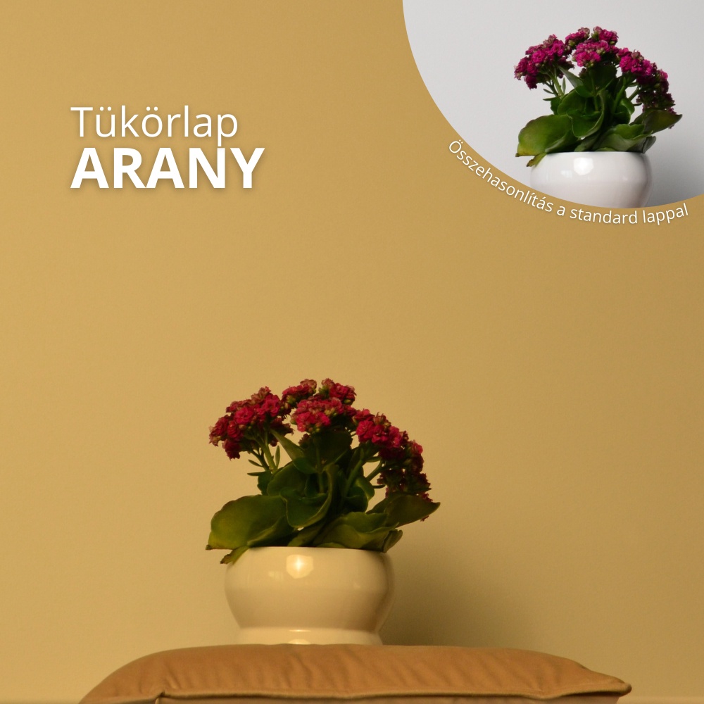 Arany tükörlap