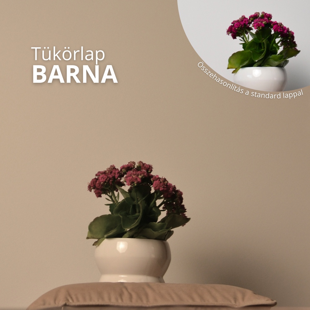 Barna tükörlap